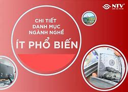 Ngành Nghề Ít Áp Lực